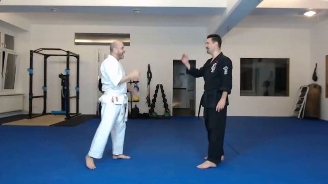 Kenpo Karate - Training at Home смотреть онлайн