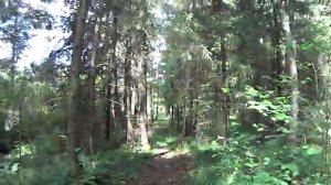 ПОИСК КЛАДА НА СЕВЕРЕ Московской области это провал или нет?