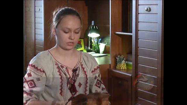 Сомалійська кішка. - результат мутації, чи ... смотреть онлайн