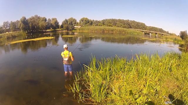 Красноперка на мормышку. Ловля красноперки на спиннинг смотреть онлайн