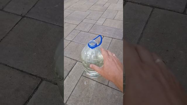 Таблетки в бачок омывателя. Реально хорошо отмывают стекло? смотреть онлайн