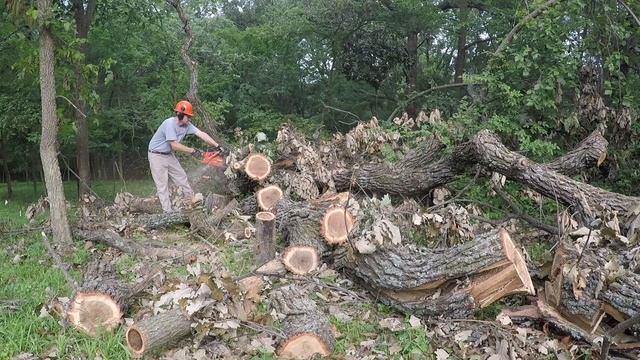 Echo CS-680 chainsaw смотреть онлайн