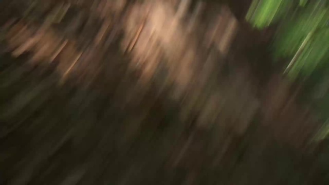 З/Л/О (V/H/S) - международный трейлер смотреть онлайн