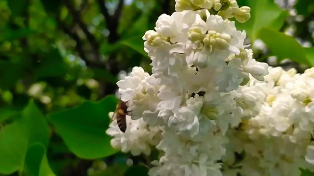 11 мая 2020 г. смотреть онлайн