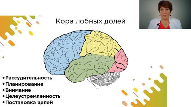 Мозг и мысли - как их привести в состояние счастья, все тайны простым, но научным языком. смотреть онлайн