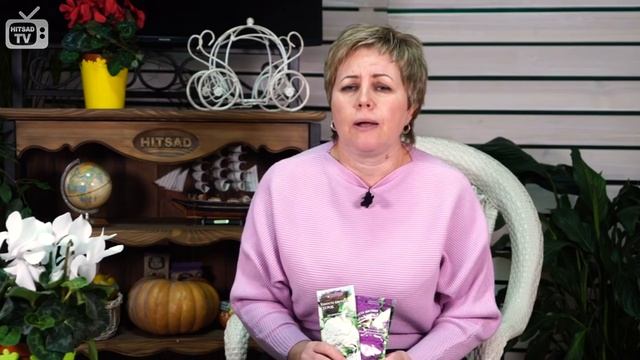 Лучшие сорта цветной капусты ? Агрофирма ГАВРИШ ? Обзор HitsadTV