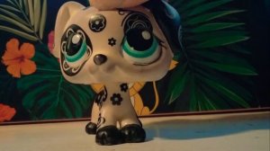 Informačka #2 + zbytečné kecy a dalmatin!!!