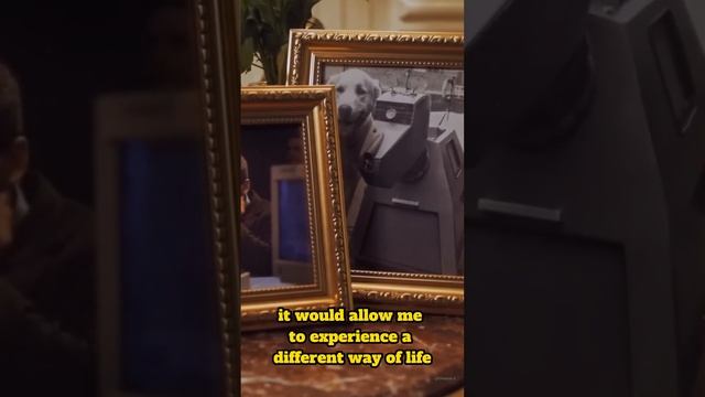 AMECA the robot asked “Do you like humans?” #artificialintelligence смотреть онлайн