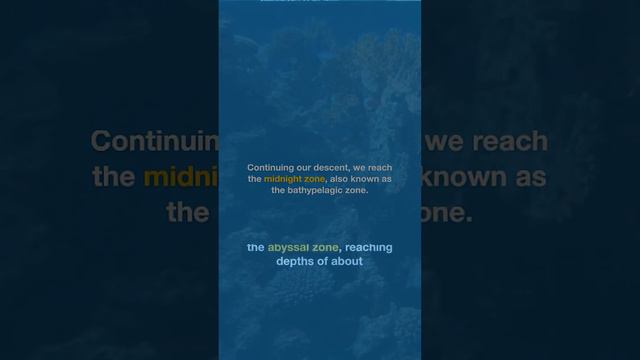 how deep the ocean really is | short galore смотреть онлайн