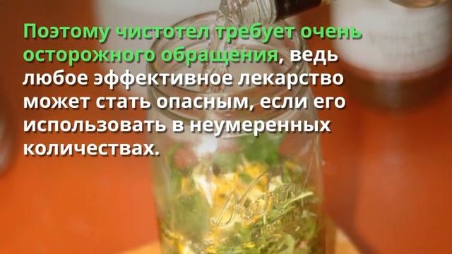 101 рецепт травы Чистотел смотреть онлайн