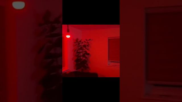 Умная светодиодная лампочка смотреть онлайн
