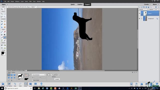 How to Rotate and Flip a Photo in Photoshop Elements 2019 смотреть онлайн