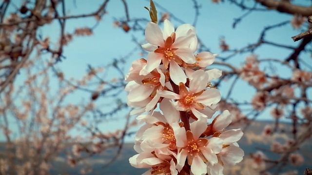 Что нужно делать на Пасху приметы, запреты, ритуалы и заговоры смотреть онлайн