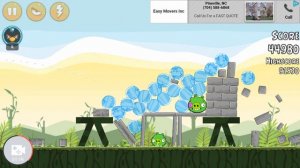 Angry Birds Poached Eggs 2-11