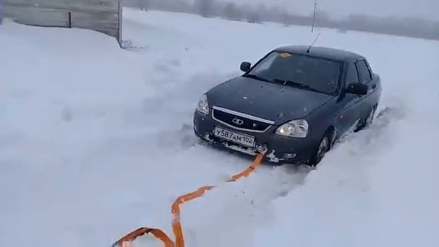 Вытаскиваем месного Академика. смотреть онлайн