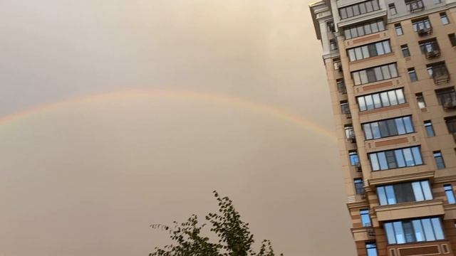 Каждый охотник желает знать ,где сидит фазан...... смотреть онлайн