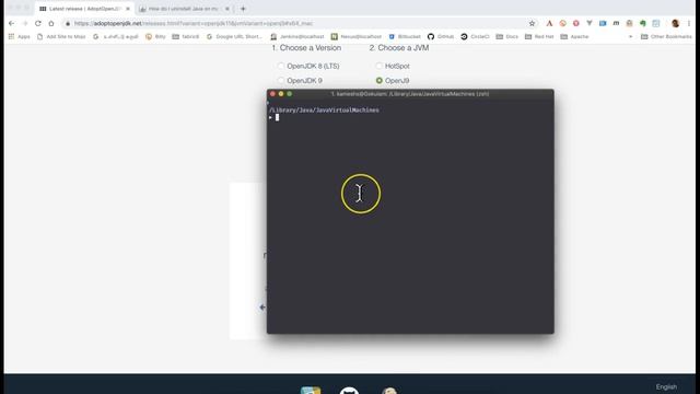 Configure OpenJDK on macOS смотреть онлайн