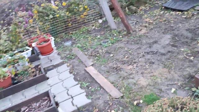 2 декабря 2023 года, планы на сегодня смотреть онлайн