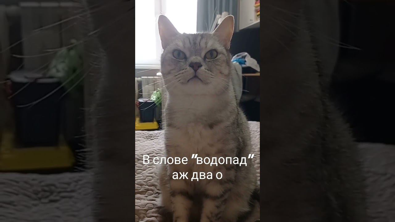 H2O смотреть онлайн