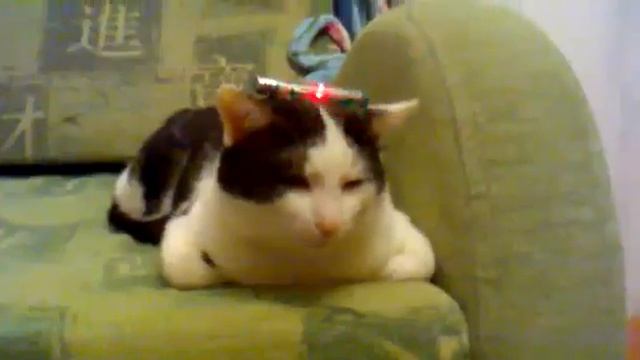 415 база ответьте. смотреть онлайн