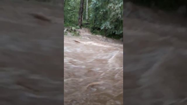 Приехали оддыхать в байкальск,и нас затопила!???? смотреть онлайн