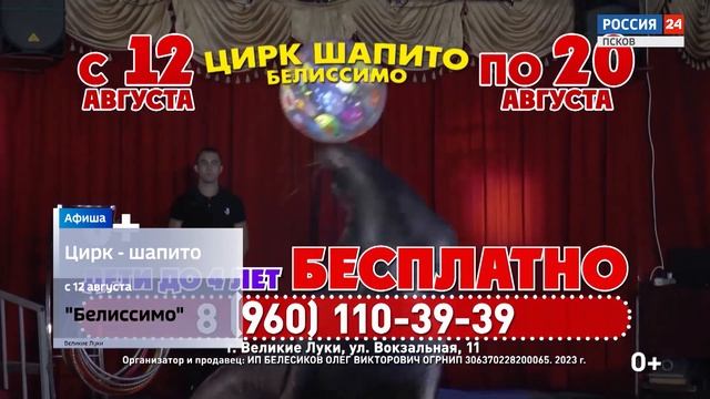 Афиша (12-13 августа 2023 года). Музыкальный фестиваль и День города в Печорах смотреть онлайн