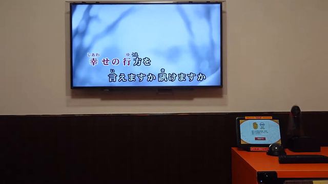キラリフタリ/白石涼子歌ってみた♪ смотреть онлайн
