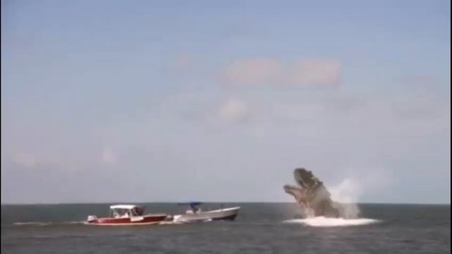 Toxic Shark Vs Poseidon Rex / Music Video смотреть онлайн