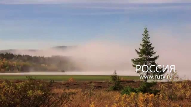 Типа Реконструкция заставки неполадок на Канале Россия-1 смотреть онлайн