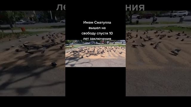 Мұрат Телібеков имам Исматулла мақсым жайлы. Алматы (13 жылдан кейін) смотреть онлайн