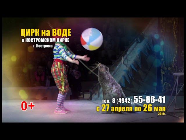 Цирк на воде "Остров сокровищ" смотреть онлайн