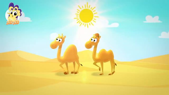 أغنية جمل Песня верблюда смотреть онлайн