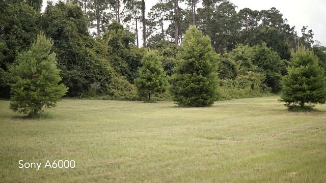 Sony NEX 5r vs Sony A6000 - Is the A6000 worth twice the price? смотреть онлайн