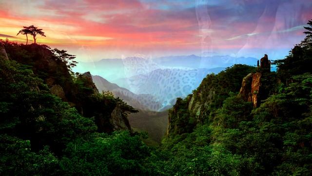 Ягуар начал тонуть в реке, и то, что сделал этот человек, просто невероятно… смотреть онлайн