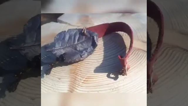 Подарки любимым! смотреть онлайн