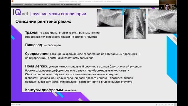 RR Сase №24: Аспирация вазелинового масла у кота смотреть онлайн