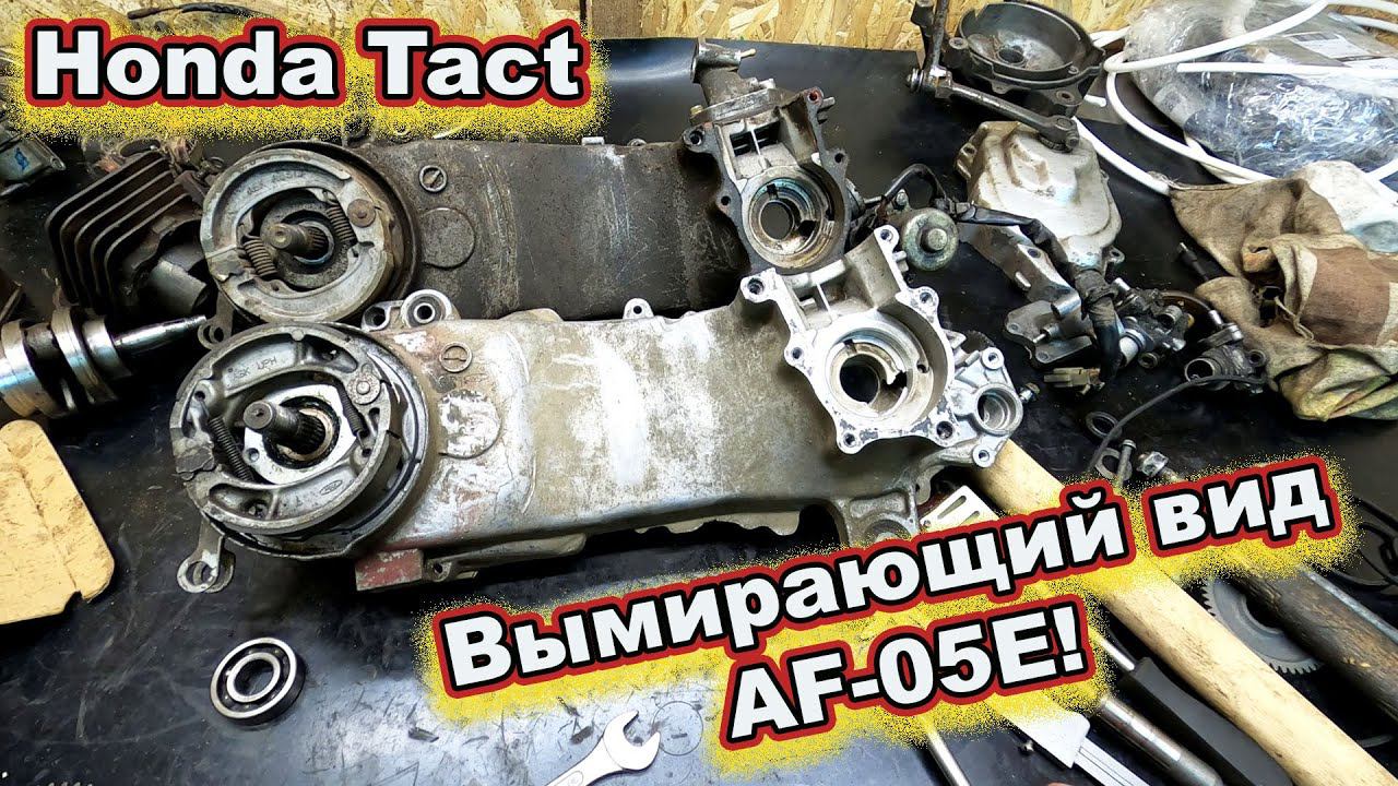 Honda Tact AF-05E ВЫМИРАЮЩИЙ ВИД ! смотреть онлайн