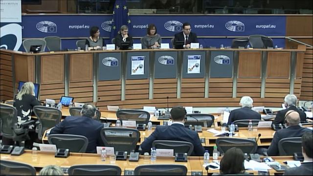 Closing remarks of MEP Rebecca Harms at the Euronest conference co-organized with OSF on 23/03 смотреть онлайн