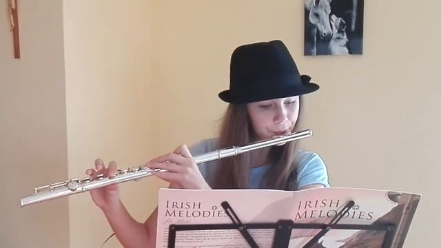 SWEENEY'S POLKA /traditional/ - arr. Joachim Johow смотреть онлайн