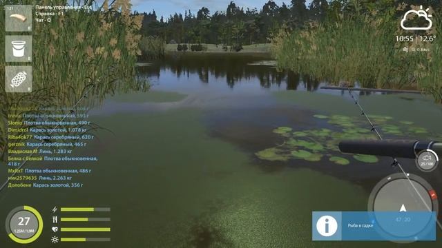 РУССКАЯ РЫБАЛКА 4. Фарм серебра на Остроге. Где и на что ловить Линя на Старом Остроге смотреть онлайн