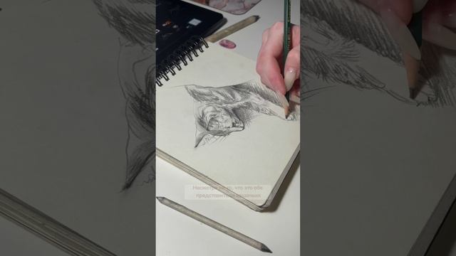 РИСУЮ СВОЮ КОШКУ, КОТОРУЮ НАШЛА НА УЛИЦЕ ?