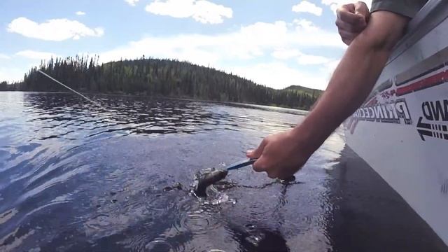 Chasse et pêche express #9 смотреть онлайн