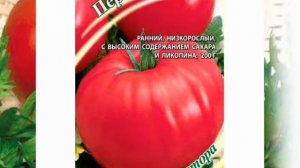 Лучшие сорта томатов для СЕВЕРНЫХ РЕГИОНОВ!
