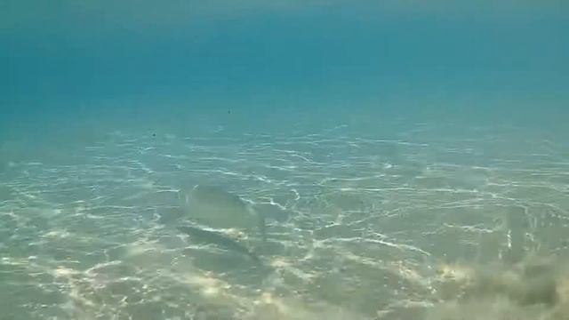 Agios Gordios  Corfu Snorkeling Map