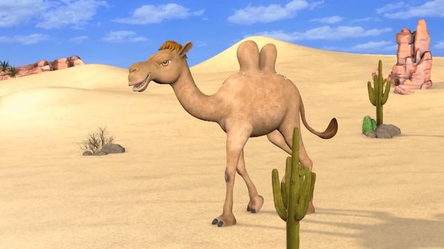 Jamel The Camel - Jamil And Jamila Songs For Kids