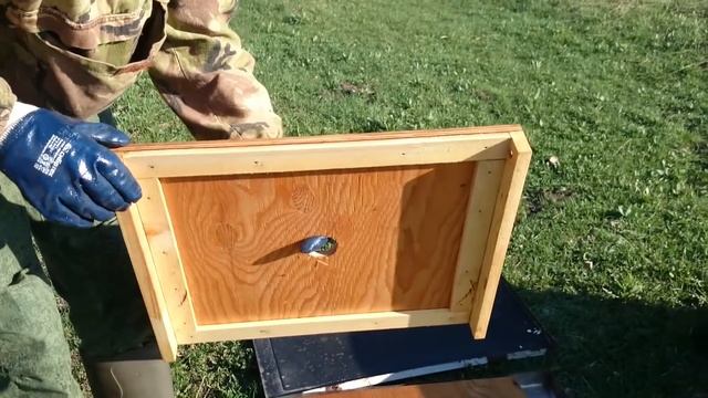 ЕЩЁ ПРО КАЛИФОРНИЙСКУЮ КРЫШУ и проварка в парафине смотреть онлайн