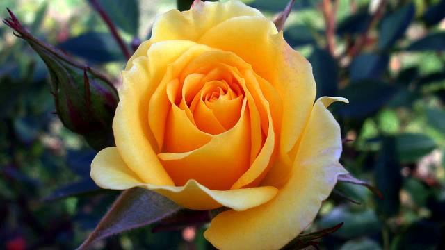 Новая русская песня с тв онлайн смотреть онлайн