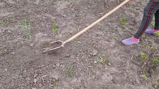 А вот и мой помощник! Начали посадку картошки, Домик у реки смотреть онлайн