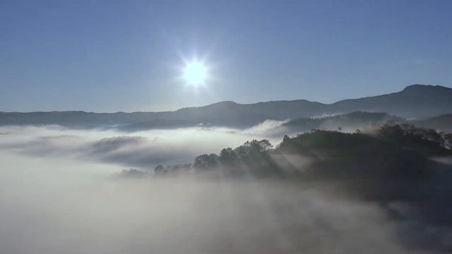 Монтаж на песнопение Kyrie Eleison, поет Анастасия Гладилина и Хор Сретенского Монастыря