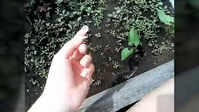 24 часа челлендж с гигантскими ногтями / Ксения Пономарёва смотреть онлайн